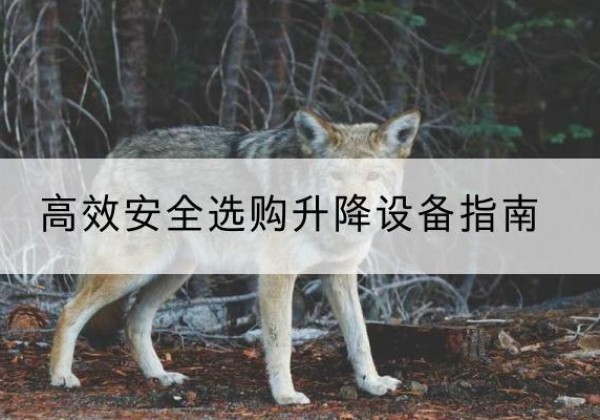 昭苏升降货梯厂家推荐-*安全选购升降设备指南