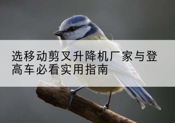 昭苏电动升降机厂家-选移动剪叉升降机厂家与登高车必看实用指南