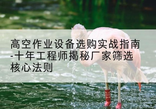 昭苏剪叉式升降机厂家-高空作业设备选购实战指南-十年工程师揭秘厂家筛选核心法则