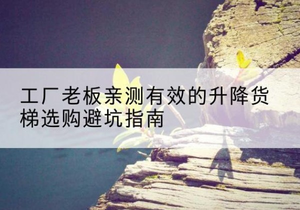 昭苏升降货梯怎么选-工厂老板亲测有效的升降货梯选购避坑指南